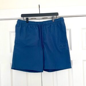 Hurley Ocean Blue Boardshorts